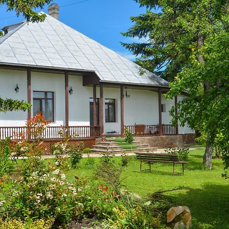 Villa Casa Humulesti, Fii Vecinul Lui Ion Creanga Targu Neamt Exterior foto